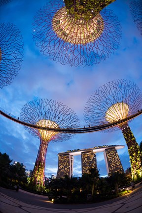 Framed Elevated walkway at Gardens by the Bay, Singapore Print