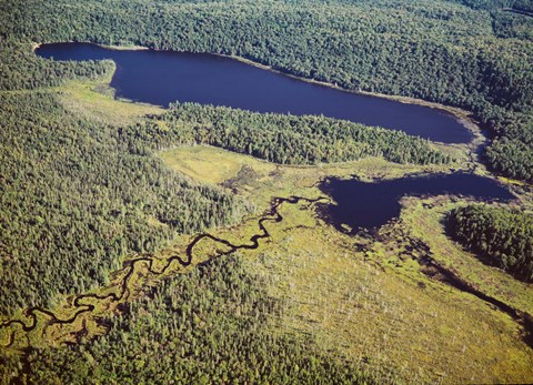 Framed Aerial view of a lake, Algonquin Provincial Park, Ontario, Canada Print