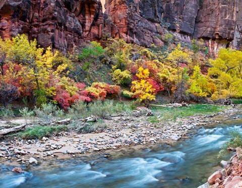 Framed Virgin River and rock face at Big Bend, Zion National Park, Springdale, Utah, USA Print