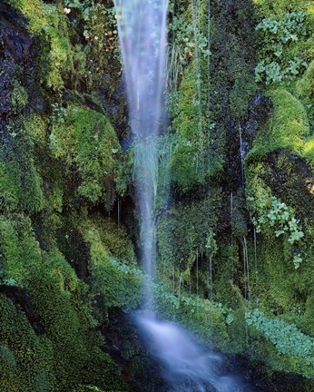 Framed Wheeler Creek Waterfall on Dutton Ridge, Crater Lake National Park, Oregon, USA Print
