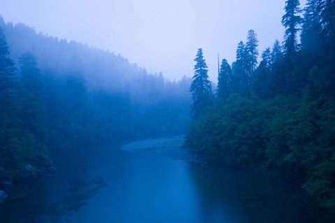 Framed River passing through a forest in the rainy morning, Jedediah Smith Redwoods State Park, Crescent City, California, USA Print