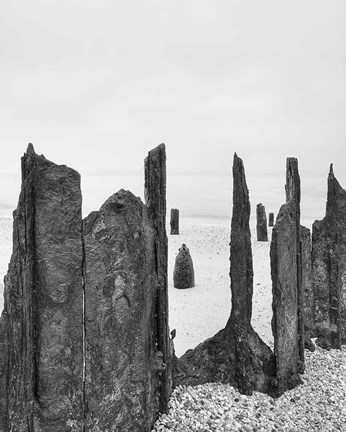 Framed Bay Wraiths Print