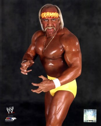 Framed Hulk Hogan Print