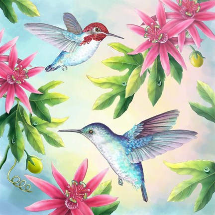 Framed Bee Hummingbirds Print
