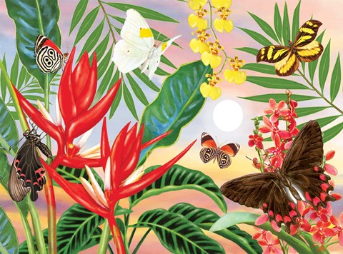 Framed Butterflies and Red Christmas Heliconia Print