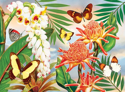 Framed Butterflies With Torch Ginger Print