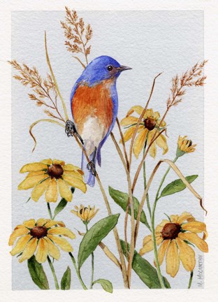 Framed Bluebird And Blackeyed Susans Print