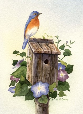 Framed Bluebird III Print