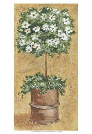 Framed Weathered Topiaries II Print