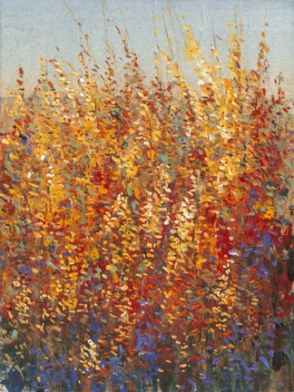 Framed High Desert Blossoms I Print