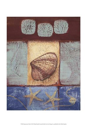 Framed Aquamarine Clam Print