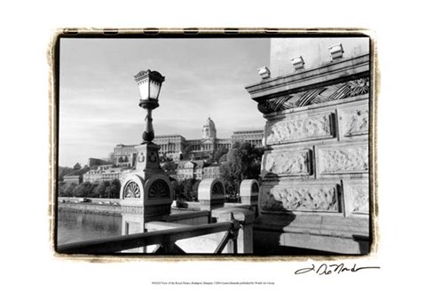 Framed View of the Royal Palace, Budapest Print