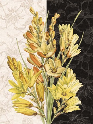 Framed Centerpiece IV Print