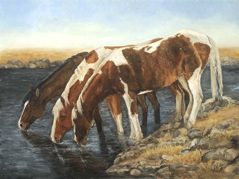 Framed Tres Caballos Print