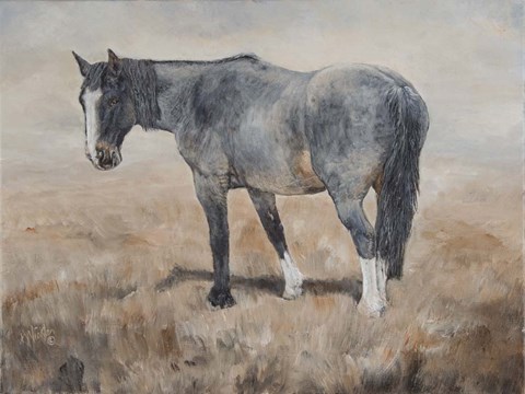 Framed Color Blue Print