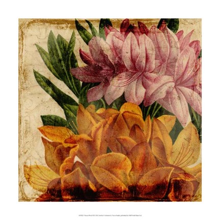 Framed Vibrant Floral II Print