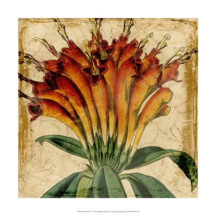 Framed Vibrant Floral IV Print