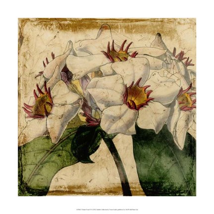 Framed Vibrant Floral VI Print