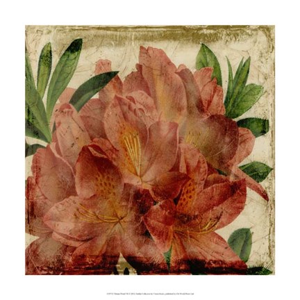 Framed Vibrant Floral VII Print