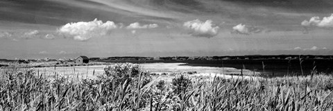Framed Shore Panorama III Print