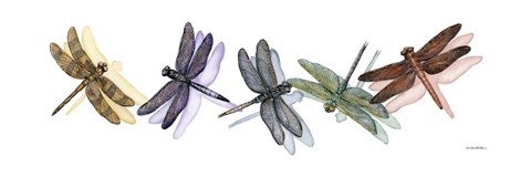 Framed Wings of Splendor II Print