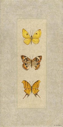 Framed Butterfly Trio I Print