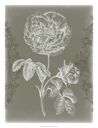 Framed Floral Relief I Print
