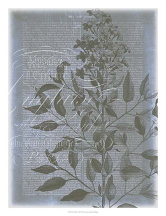 Framed Fleur de Bleu I Print