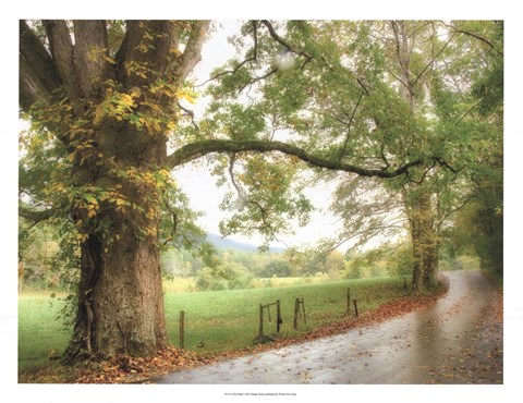 Framed Wet Path Print