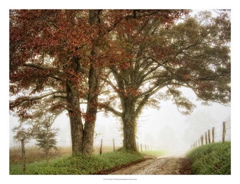 Framed Two Oaks Print