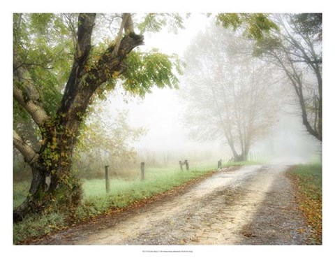 Framed Feel the Silence Print