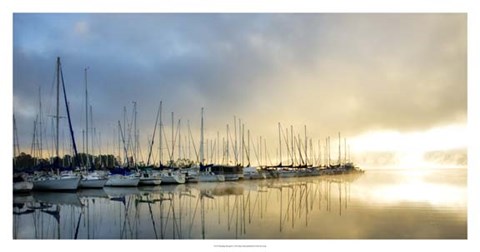 Framed Breaking Through II Print