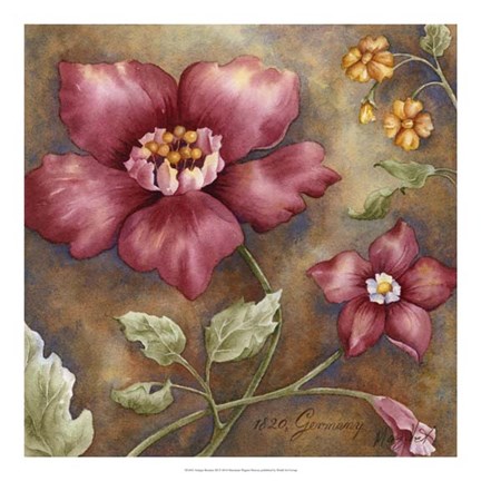 Framed Antique Beauties III Print