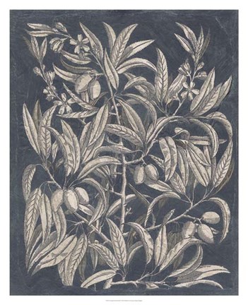 Framed Vintage Fruit &amp; Floral I Print