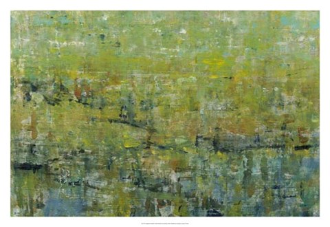 Framed Opulent Field II Print