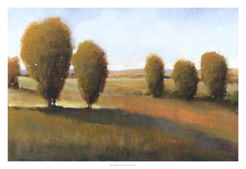 Framed Afternoon Light I Print