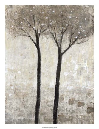 Framed Bloom II Print