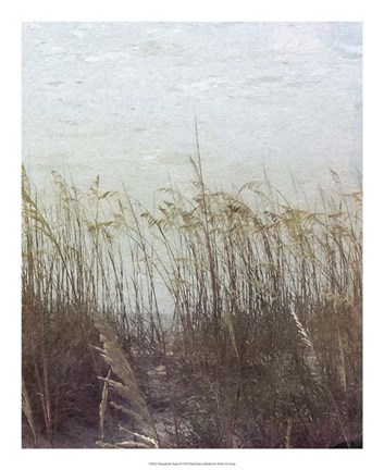 Framed Through the Dunes II Print
