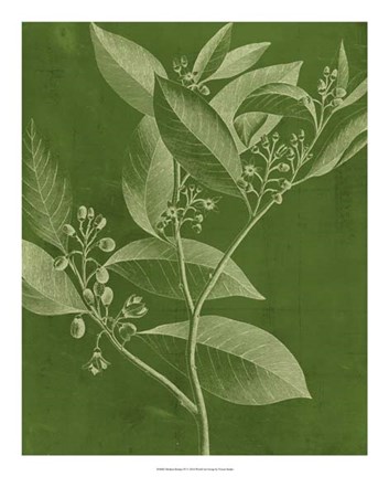 Framed Modern Botany IV Print