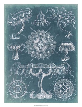 Framed Sealife Blueprint III Print