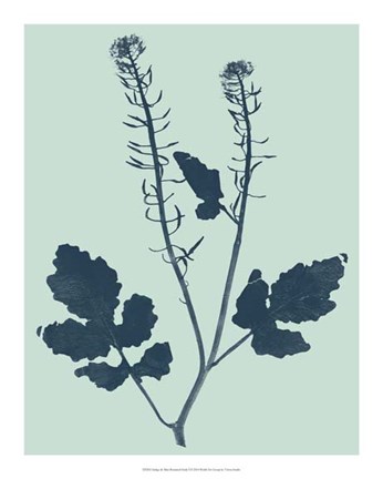 Framed Indigo &amp; Mint Botanical Study I Print