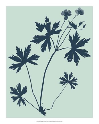 Framed Indigo &amp; Mint Botanical Study III Print
