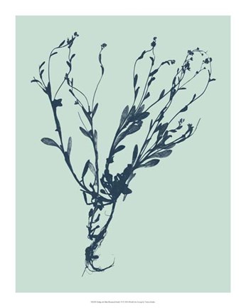 Framed Indigo &amp; Mint Botanical Study VI Print