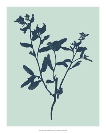 Framed Indigo &amp; Mint Botanical Study VII Print