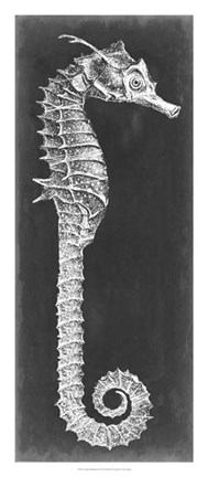 Framed Seahorse Blueprint II Print