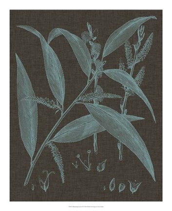 Framed Shimmering Leaves IV Print