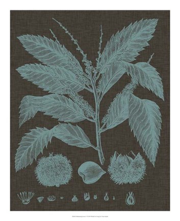 Framed Shimmering Leaves V Print