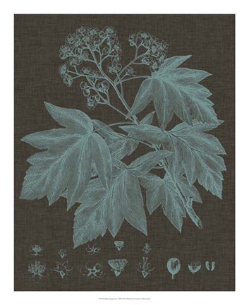 Framed Shimmering Leaves VIII Print