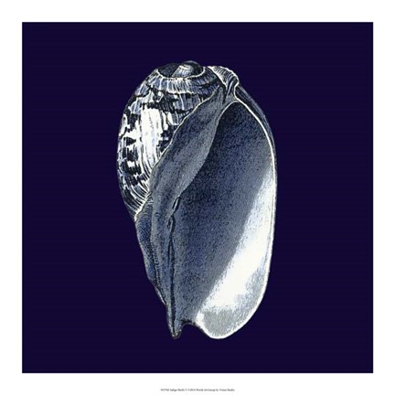Framed Indigo Shells V Print