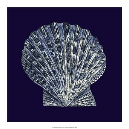 Framed Indigo Shells VIII Print